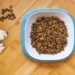 mangime secco per cani: i pericoli dei croccantini