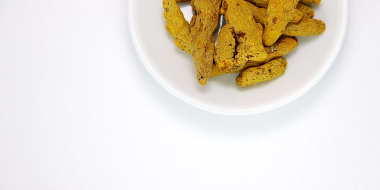 rizomi di curcuma essiccati
