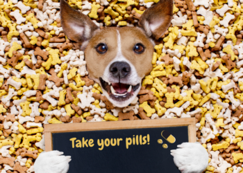 Olio di fegato di merluzzo per cani