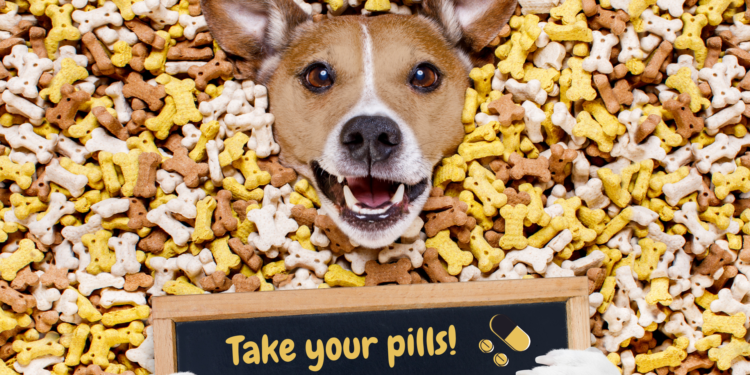 Olio di fegato di merluzzo per cani