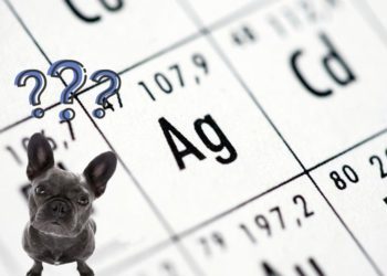 Benefici dell'uso di argento colloidale per cani e gatti