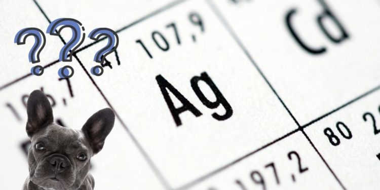 Benefici dell'uso di argento colloidale per cani e gatti