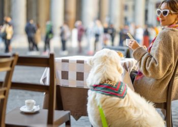 Nazioni più dog-friendly: Italia prima in classifica